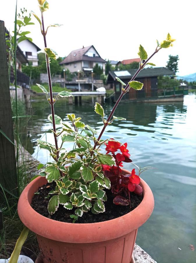 Dina Apartman Jablanicko Jezero Konjic Bagian luar foto