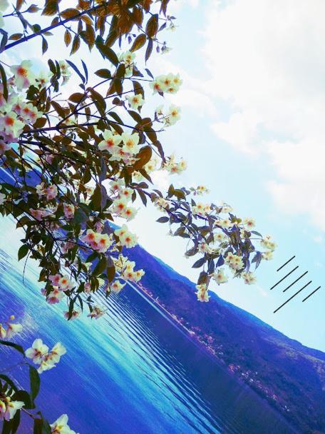 Dina Apartman Jablanicko Jezero Konjic Bagian luar foto